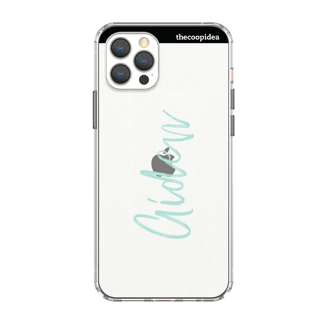 CANVAS iPhone 12 Pro Max Case - Script